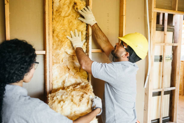 Best Wall Insulation Contractor  in Fairforest, SC